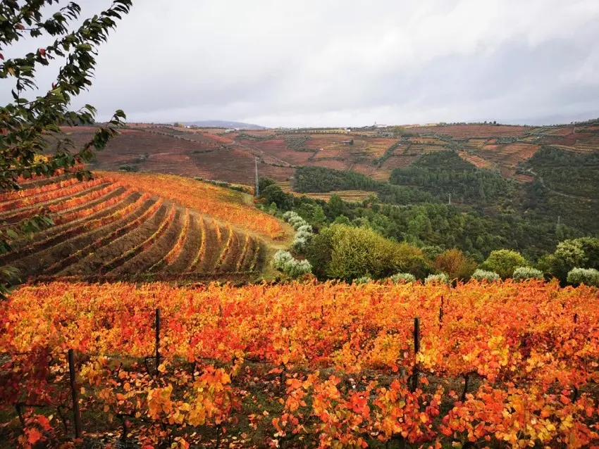 Portugal