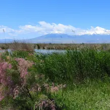 [Translate to Englisch:] Armash-Feuchtgebiete in Armenien 