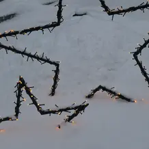 Weihnachtsstern Karin